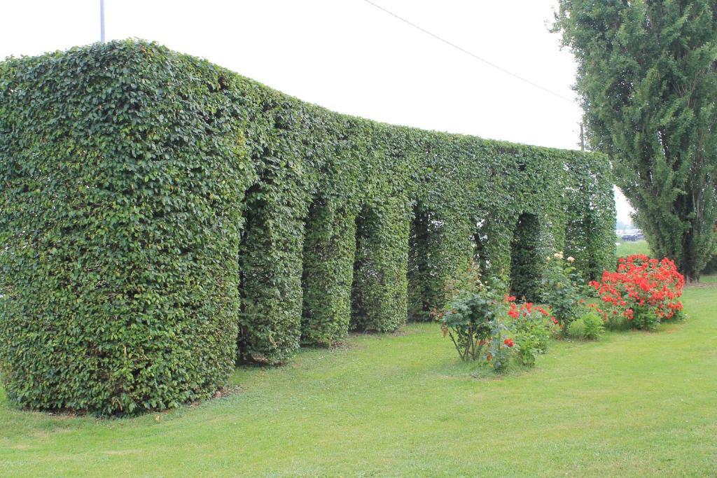Villa Belvedere 1849 Misano di Gera dʼAdda Exteriér fotografie